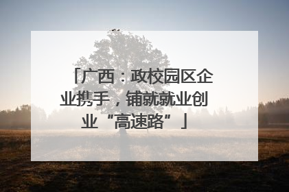 广西：政校园区企业携手，铺就就业创业“高速路”