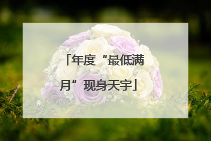 年度“最低满月”现身天宇