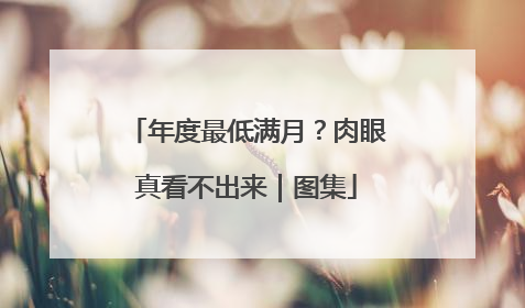 年度最低满月？肉眼真看不出来｜图集