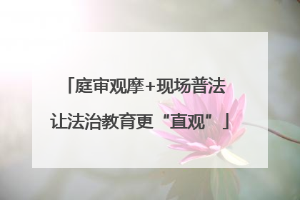 庭审观摩+现场普法 让法治教育更“直观”