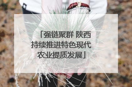 强链聚群 陕西持续推进特色现代农业提质发展
