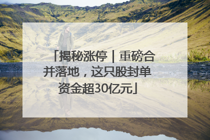 揭秘涨停｜重磅合并落地，这只股封单资金超30亿元