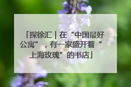 探徐汇｜在“中国最好公寓”，有一家盛开着“上海玫瑰”的书店