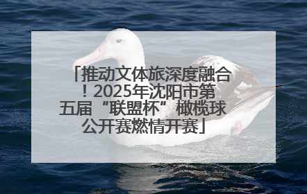 推动文体旅深度融合！2025年沈阳市第五届“联盟杯”橄榄球公开赛燃情开赛