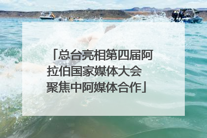 总台亮相第四届阿拉伯国家媒体大会 聚焦中阿媒体合作