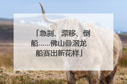 急刹、漂移、倒船……佛山叠滘龙船赛出新花样