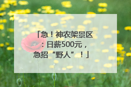 急！神农架景区：日薪500元，急招“野人”！
