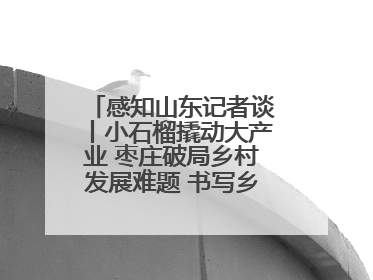 感知山东记者谈丨小石榴撬动大产业 枣庄破局乡村发展难题 书写乡村共富答卷