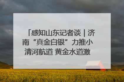 感知山东记者谈｜济南“真金白银”力推小清河航道 黄金水道激活区域经济新动能