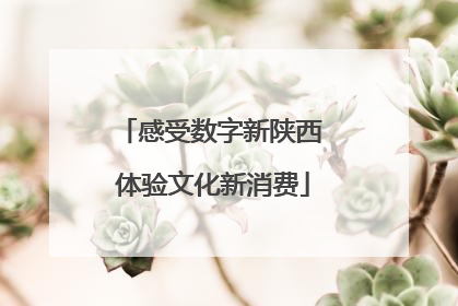 感受数字新陕西 体验文化新消费