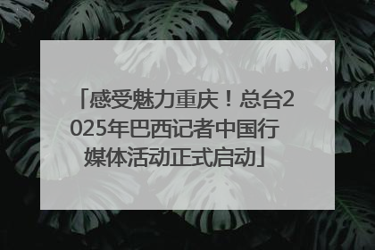 感受魅力重庆！总台2025年巴西记者中国行媒体活动正式启动