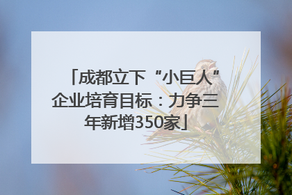 成都立下“小巨人”企业培育目标：力争三年新增350家