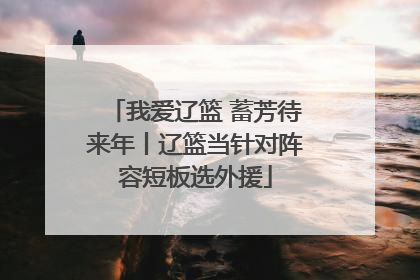 我爱辽篮 蓄芳待来年丨辽篮当针对阵容短板选外援