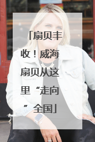 扇贝丰收！威海扇贝从这里“走向”全国