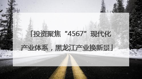 投资聚焦“4567”现代化产业体系，黑龙江产业换新景