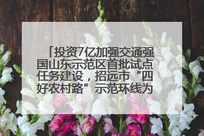 投资7亿加强交通强国山东示范区首批试点任务建设，招远市“四好农村路”示范环线为乡村振兴“开路”