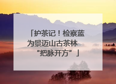 护茶记！检察蓝为景迈山古茶林 “把脉开方”