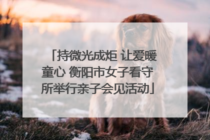 持微光成炬 让爱暖童心 衡阳市女子看守所举行亲子会见活动