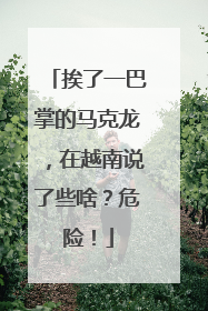 挨了一巴掌的马克龙，在越南说了些啥？危险！