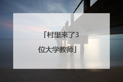 村里来了3位大学教师