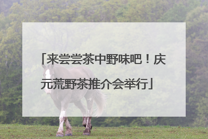 来尝尝茶中野味吧！庆元荒野茶推介会举行