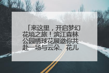 来这里，开启梦幻花境之旅！滨江森林公园绣球花展邀你共赴一场与云朵、花儿的浪漫之约