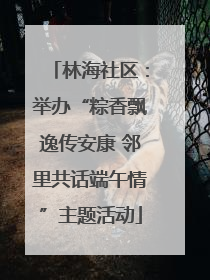 林海社区：举办“粽香飘逸传安康 邻里共话端午情”主题活动