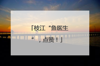枝江“鱼医生”，点赞！