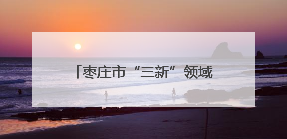 枣庄市“三新”领域妇联组织领头雁素质能力提升培训班开班