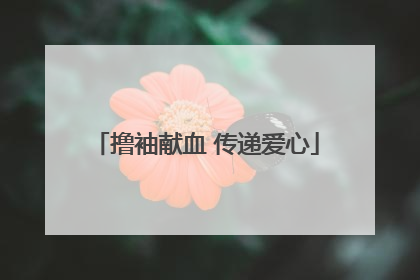 撸袖献血 传递爱心