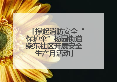 撑起消防安全“保护伞”杨园街道柴东社区开展安全生产月活动