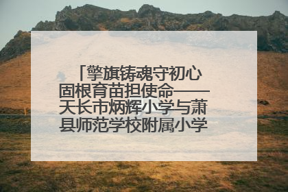 擎旗铸魂守初心 固根育苗担使命——天长市炳辉小学与萧县师范学校附属小学结对共建活动纪实