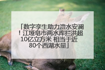 数字孪生助力澧水安澜！江垭皂市两水库拦洪超10亿立方米 相当于近80个西湖水量