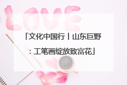 文化中国行丨山东巨野：工笔画绽放致富花