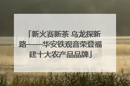 新火赛新茶 乌龙探新路——华安铁观音荣登福建十大农产品品牌
