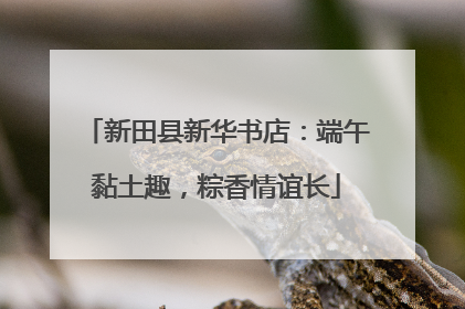新田县新华书店：端午黏土趣，粽香情谊长