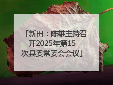 新田：陈雄主持召开2025年第15次县委常委会会议