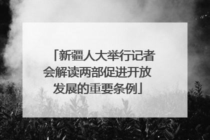 新疆人大举行记者会解读两部促进开放发展的重要条例