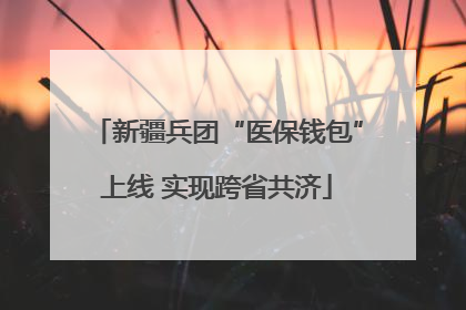 新疆兵团“医保钱包”上线 实现跨省共济