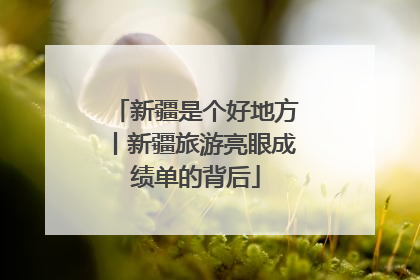 新疆是个好地方丨新疆旅游亮眼成绩单的背后