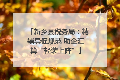 新乡县税务局：精辅导促规范 助企汇算“轻装上阵”