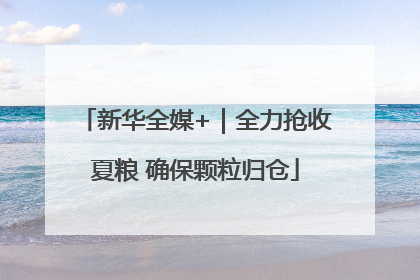 新华全媒+｜全力抢收夏粮 确保颗粒归仓