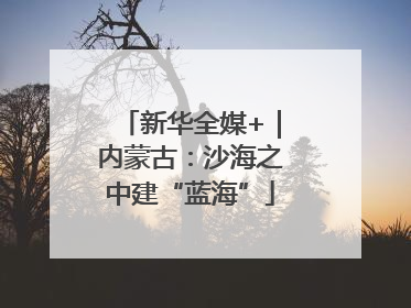 新华全媒+｜内蒙古：沙海之中建“蓝海”