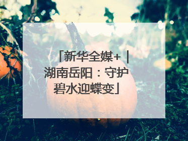 新华全媒+｜湖南岳阳：守护碧水迎蝶变