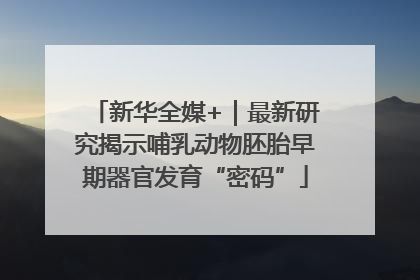 新华全媒+｜最新研究揭示哺乳动物胚胎早期器官发育“密码”