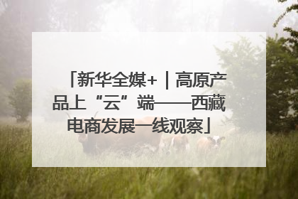 新华全媒+｜高原产品上“云”端——西藏电商发展一线观察