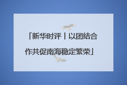 新华时评丨以团结合作共促南海稳定繁荣