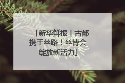 新华鲜报｜古都携手丝路！丝博会绽放新活力