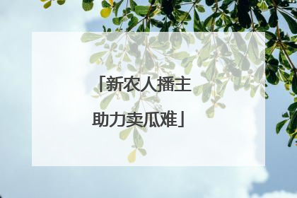 新农人播主 助力卖瓜难
