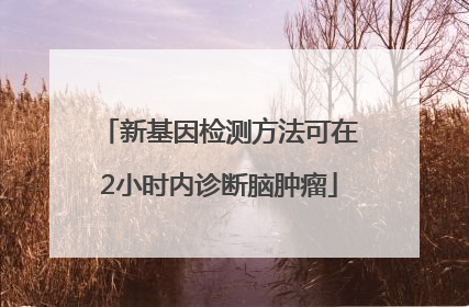 新基因检测方法可在2小时内诊断脑肿瘤